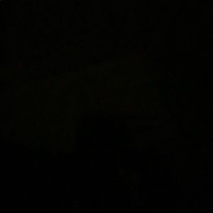 Meet your Posher, Iris